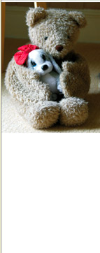 Picture of Teddy Bear