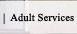 Adult Services Button